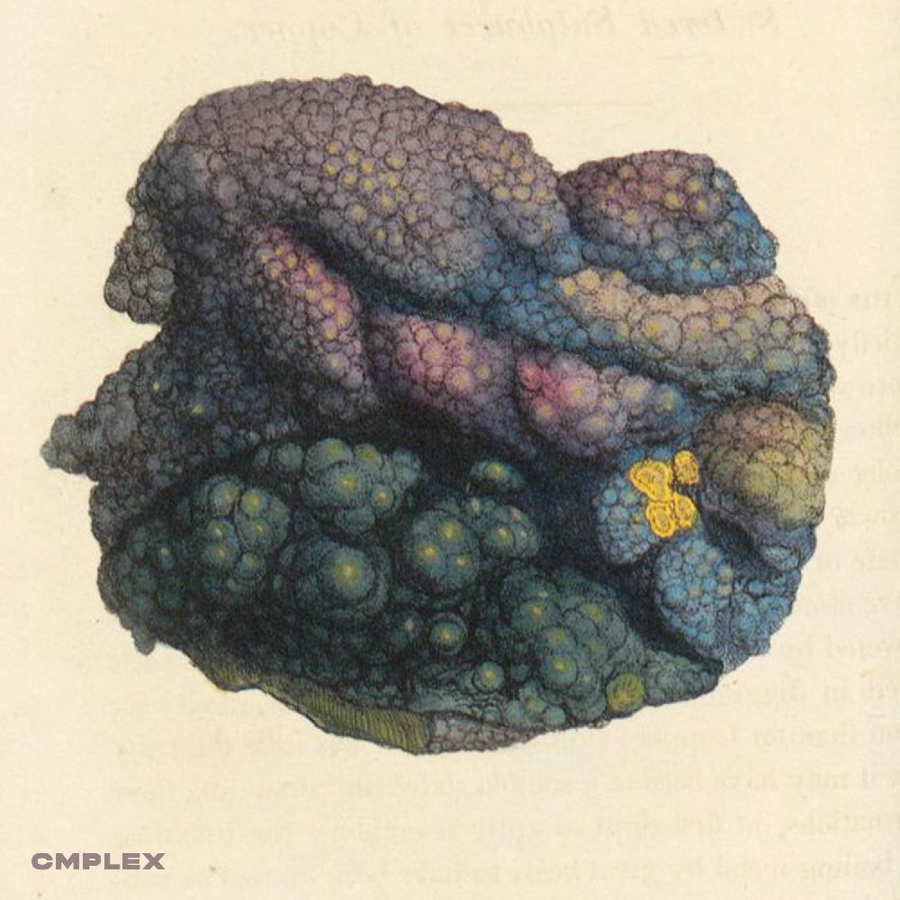 Pochette de Selection Sample Pack