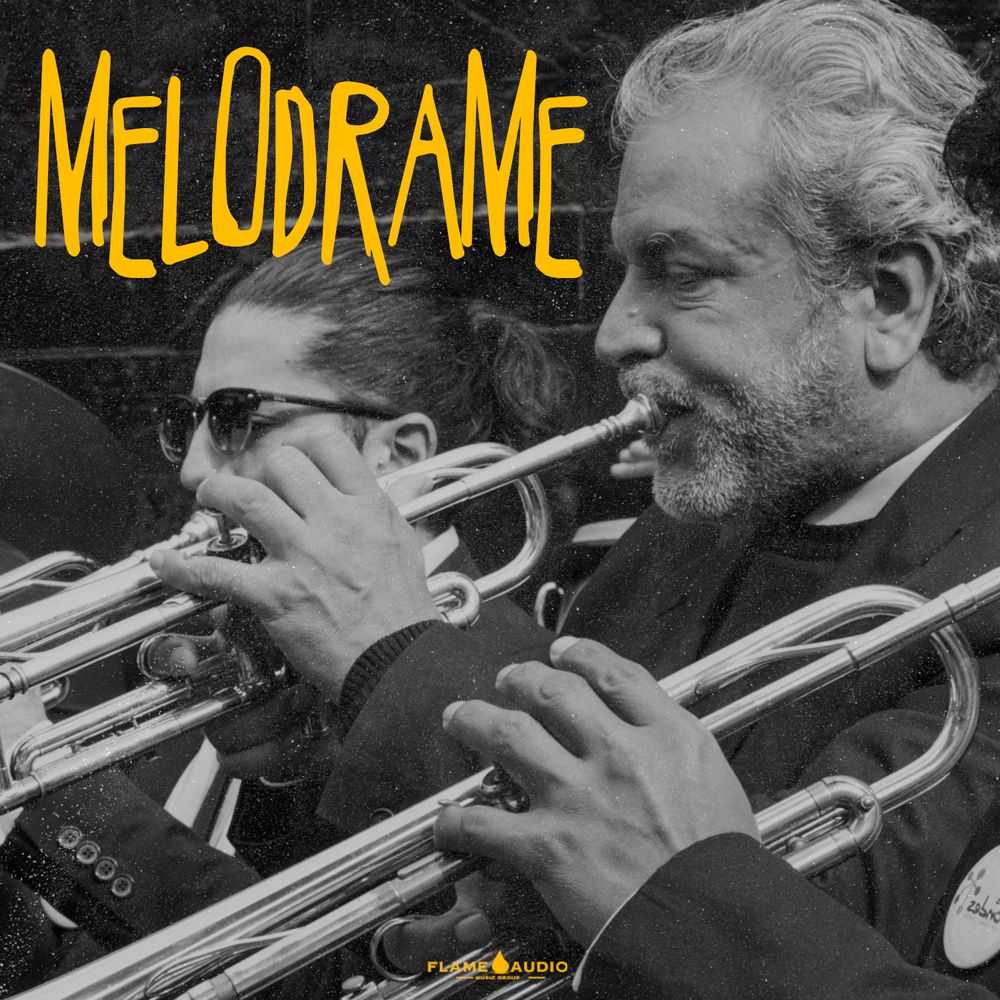 Pochette de MELODRAME: Orchestral Samples