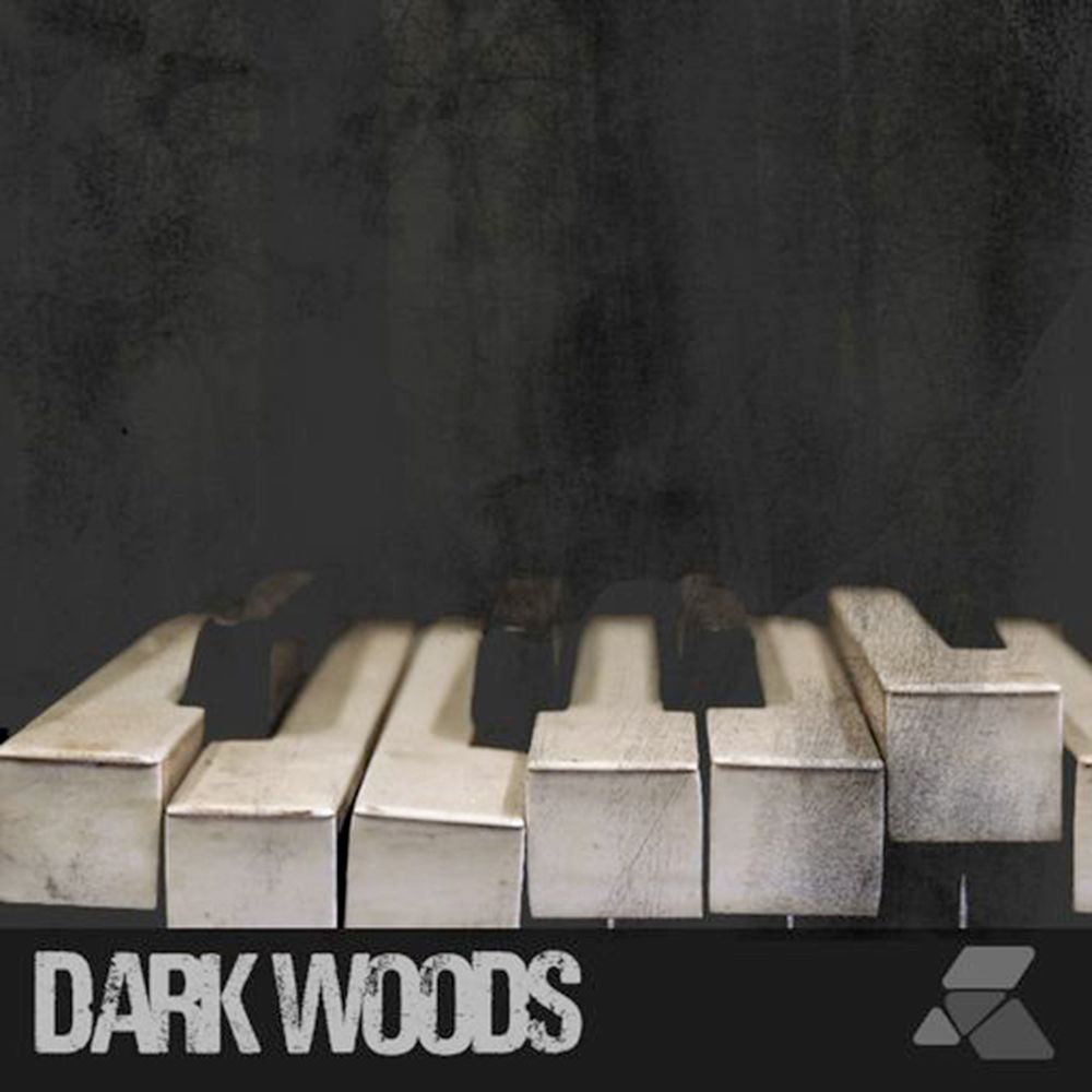 Artwork for Dark Woods
