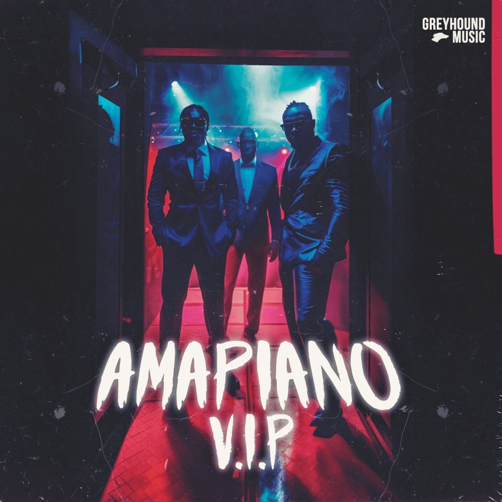Pochette de AMAPIANO VIP