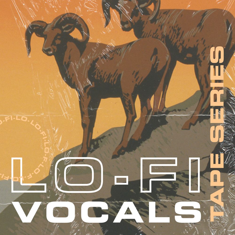 Pochette de Tape Series: Lo-Fi Vocals