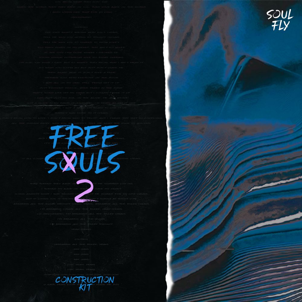 Pochette de Free Souls 2