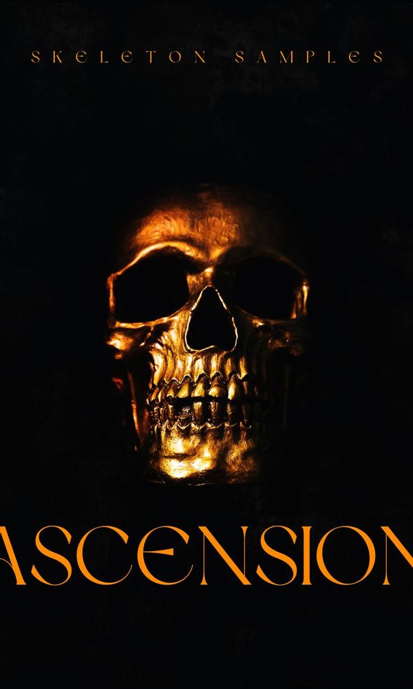 Artwork for Ascension [Melodic Techno]