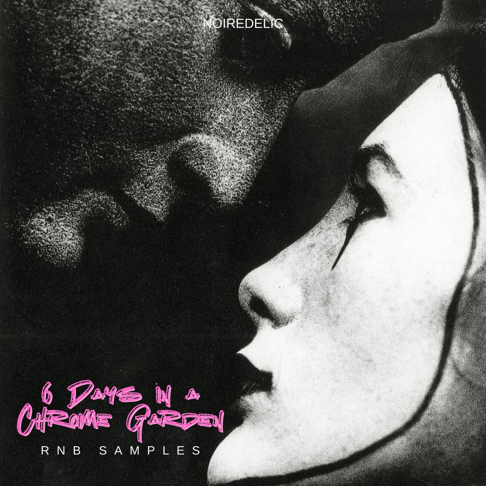 Pochette de 6 Days in a Chrome Garden