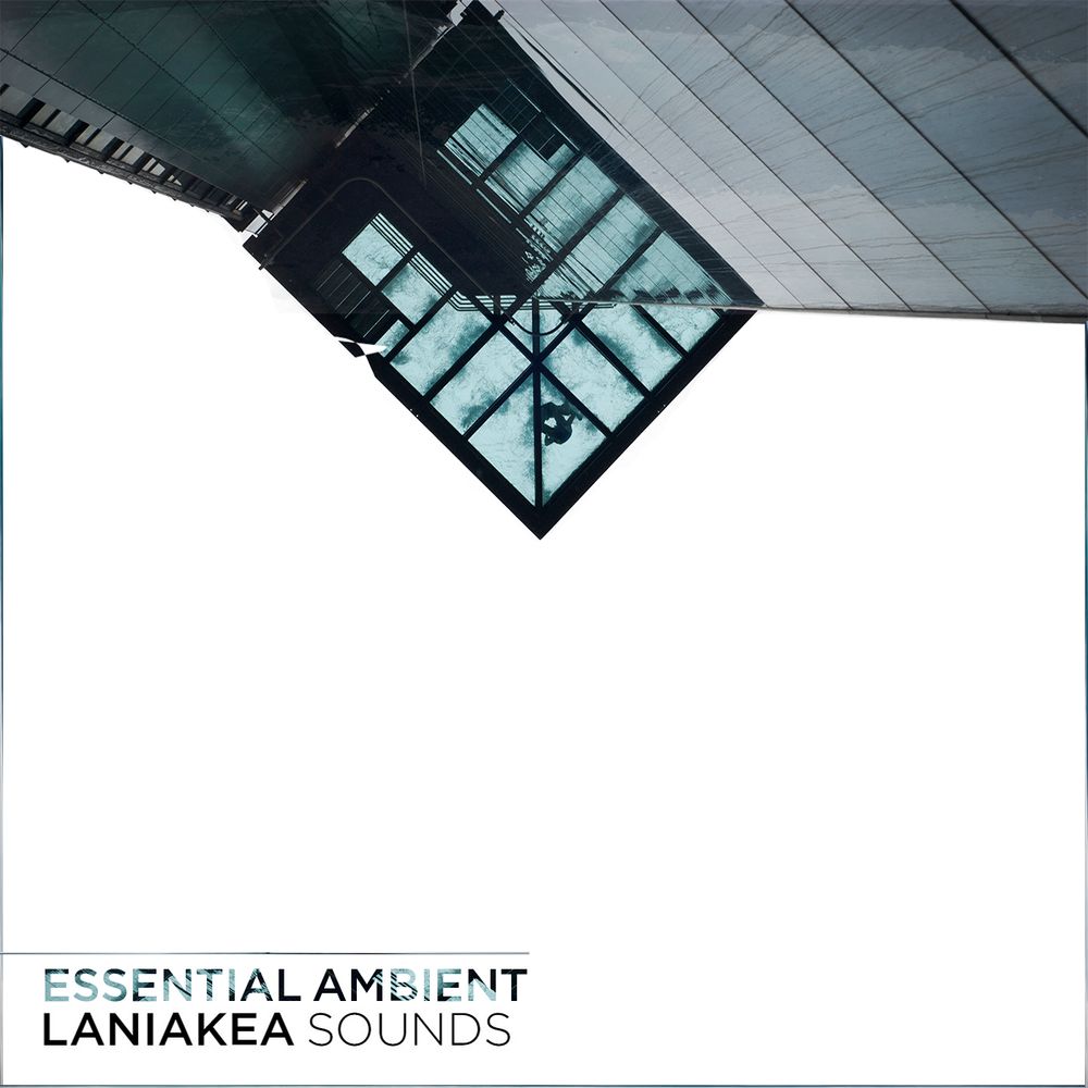 Essential Ambient Sample Pack | LANDR