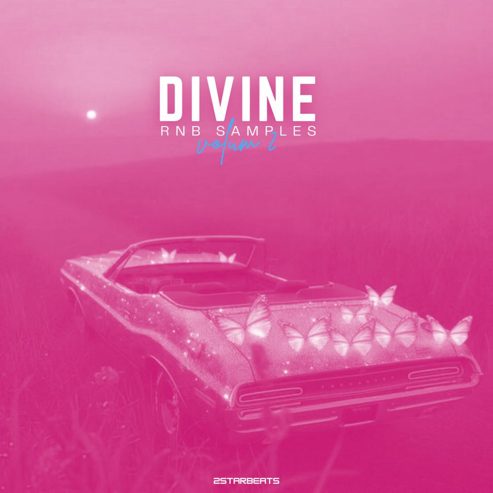 Arte de Divine Vol 2 - RnB Samples