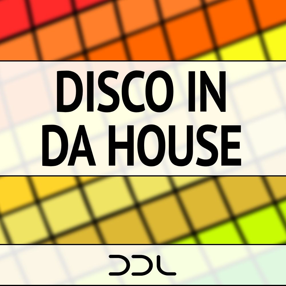 Pochette de Disco In Da House