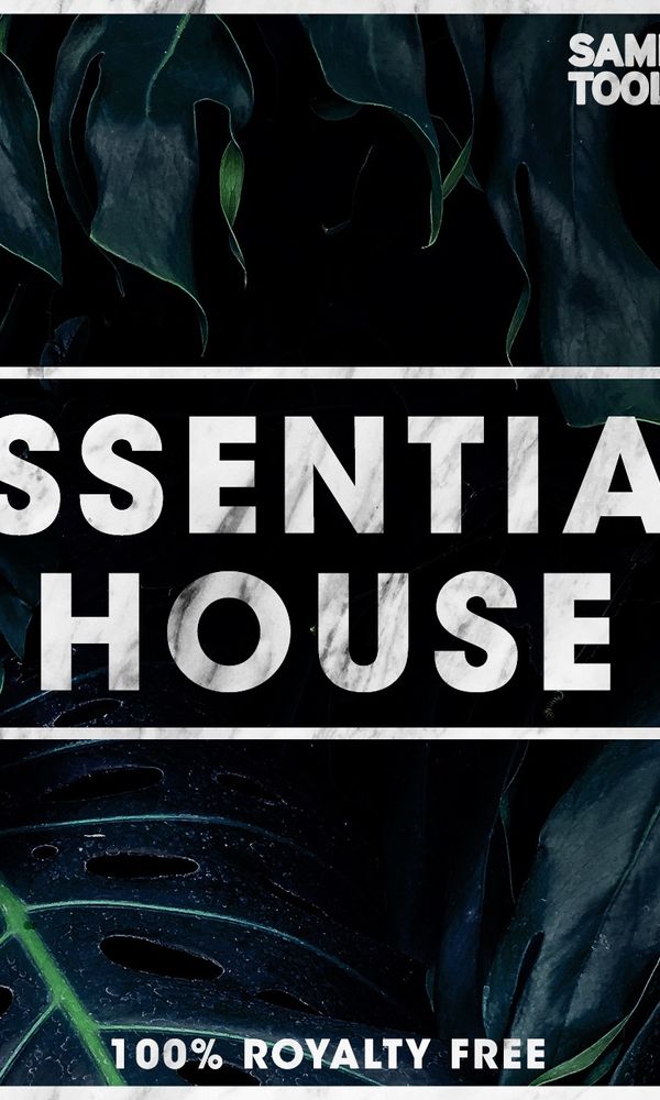 Artwork for Essential House