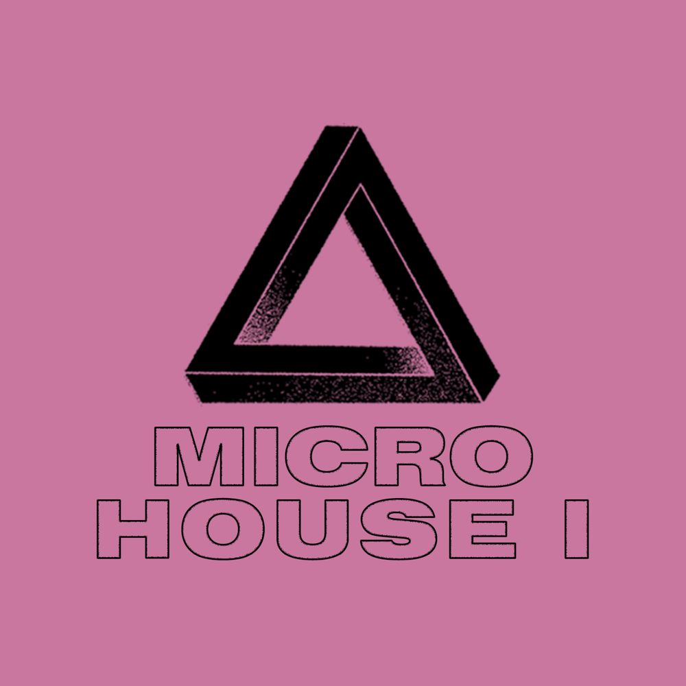 Arte de Micro House