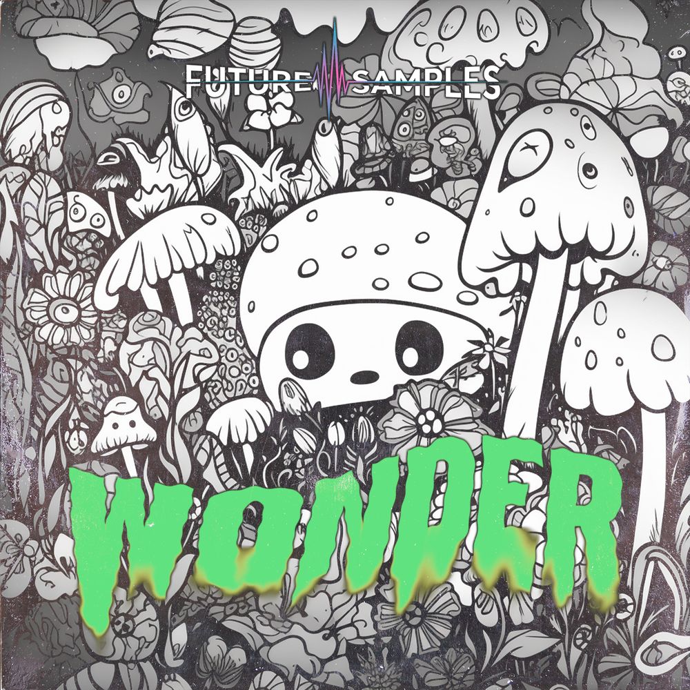 Arte de WONDER - Melodic Trap