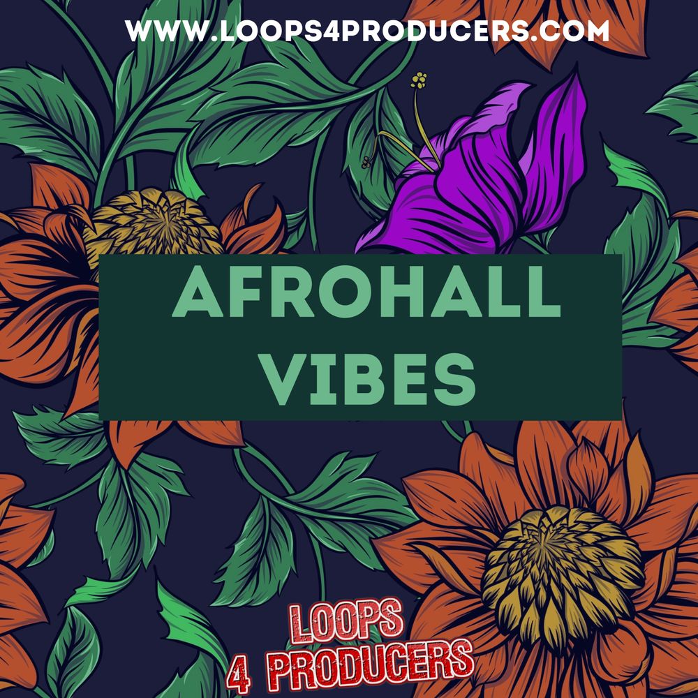 Pochette de AfroHall Vibes