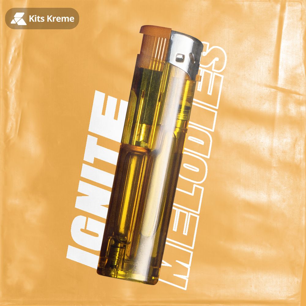 Pochette de Ignite Melodies