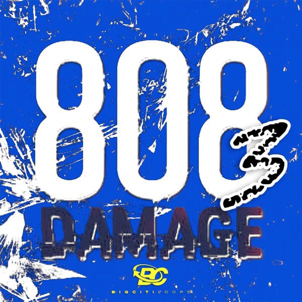 Arte de 808 Damage 3