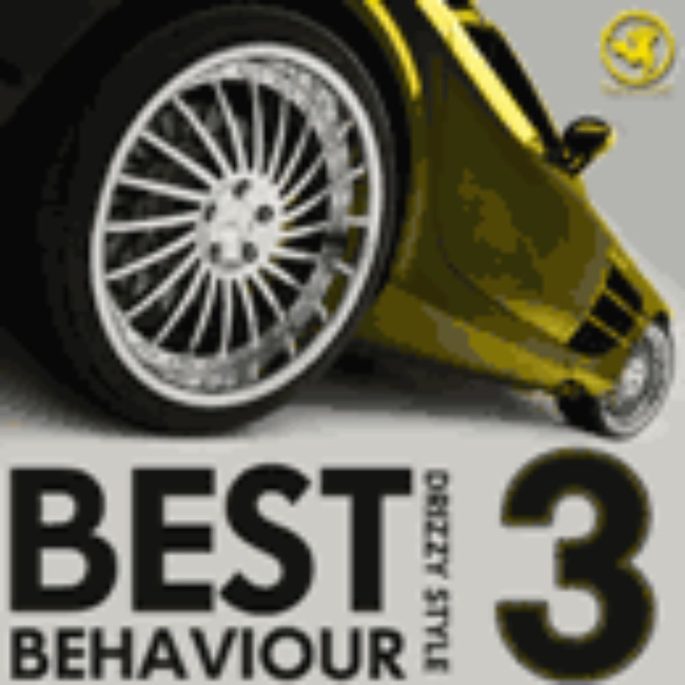 Arte de Best Behaviour 3