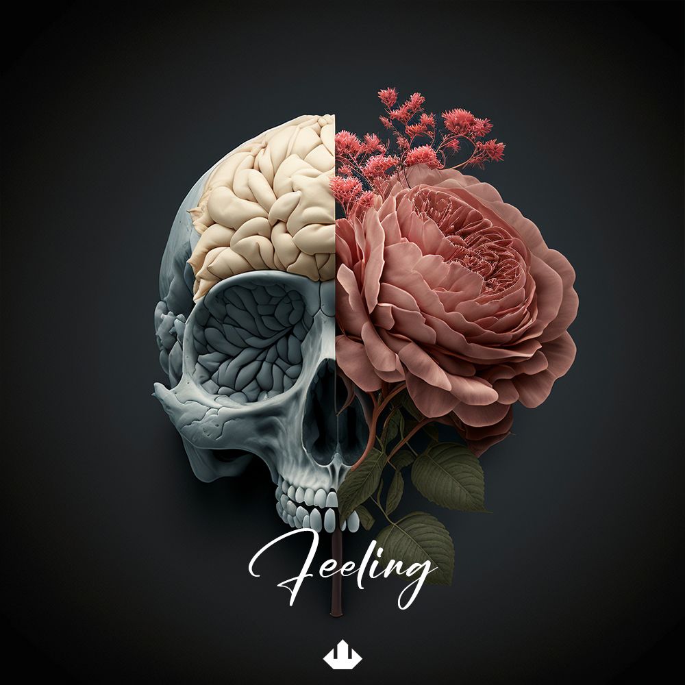 Pochette de FEELING