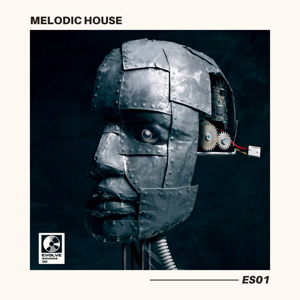 Arte de Melodic House