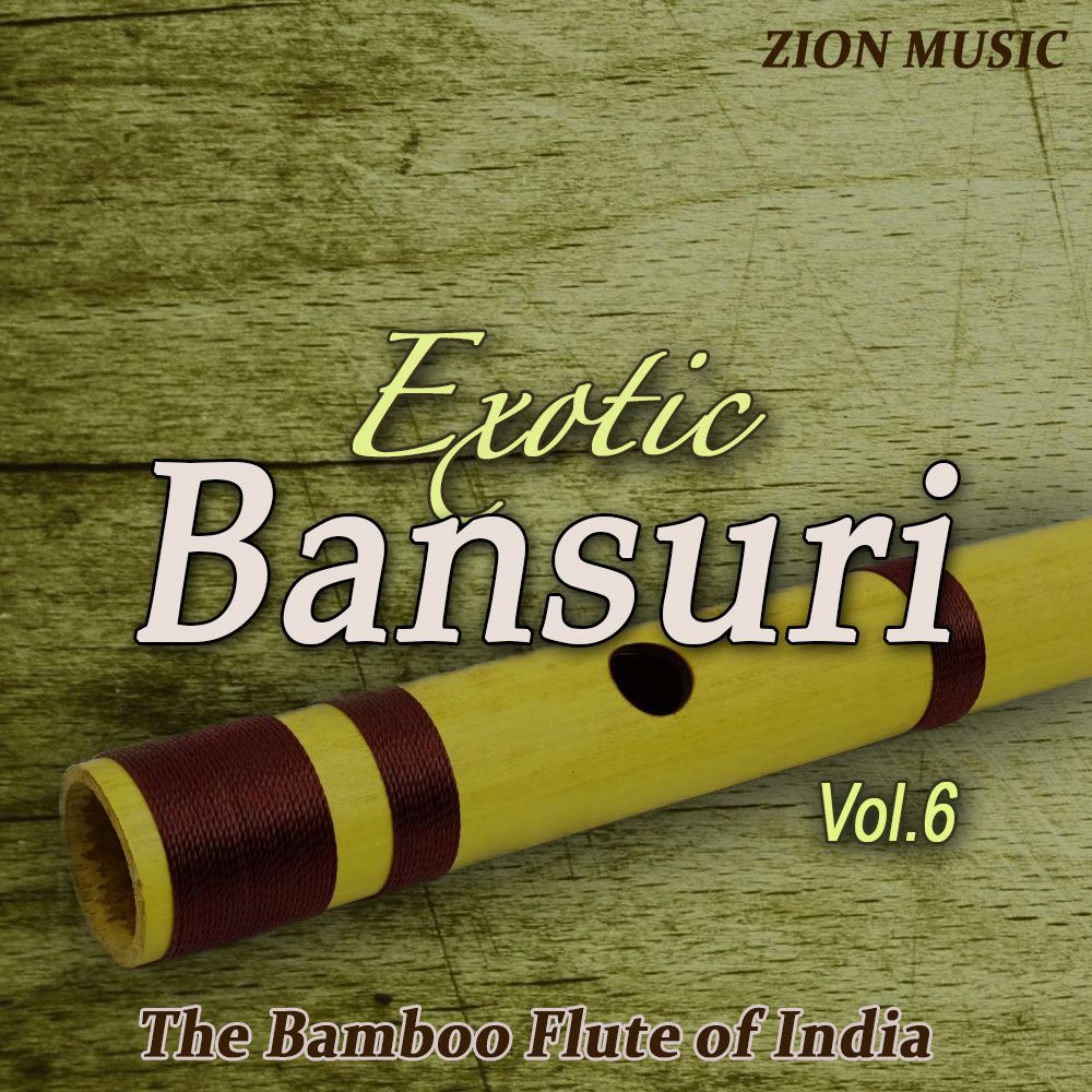 Pochette de Exotic Bansuri Vol 6