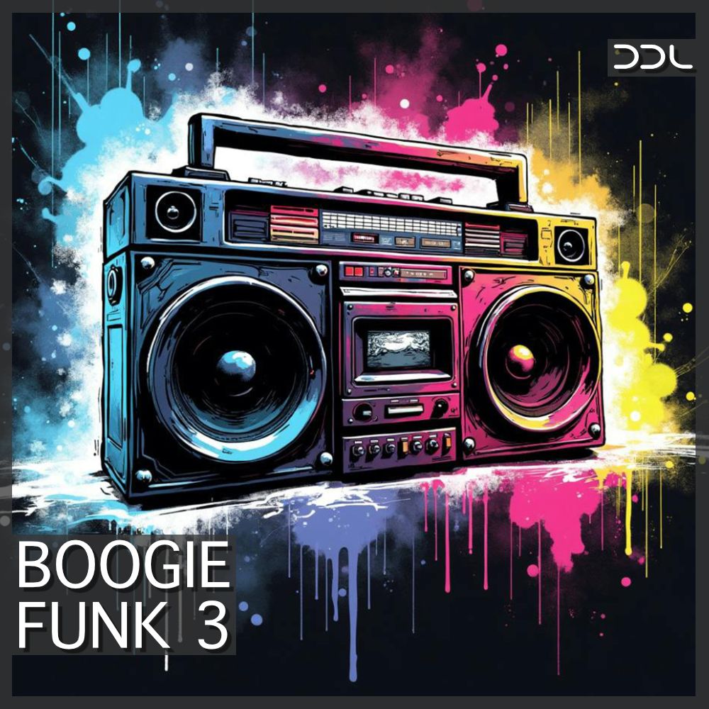 Pochette de Boggie Funk 3