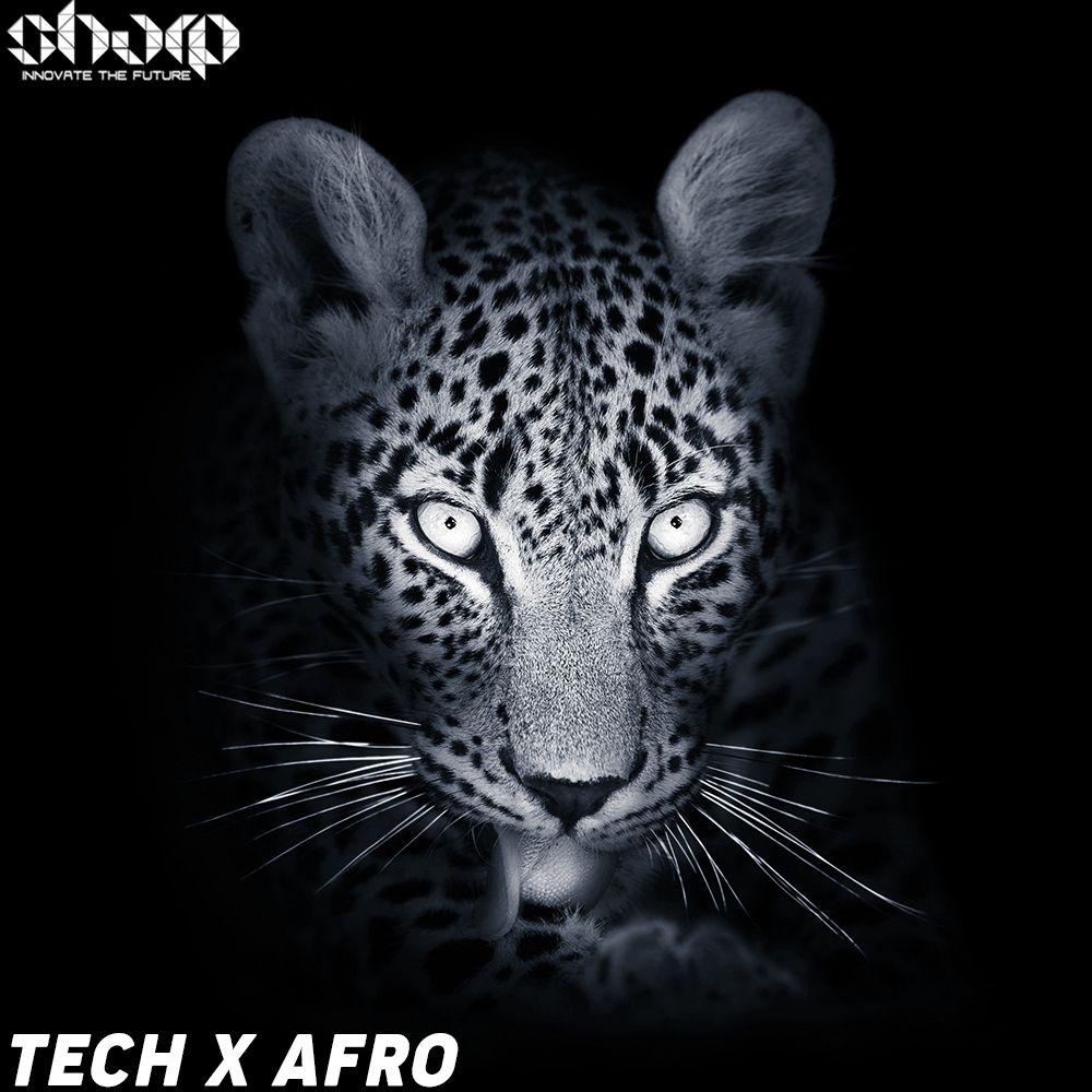 Obra de arte de Tech x Afro
