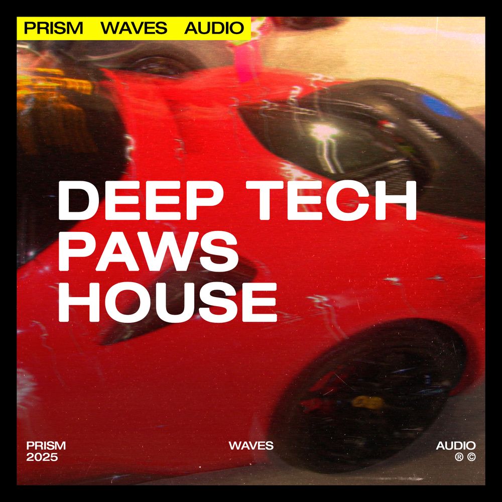 Arte de DEEP TECH PAWS HOUSE