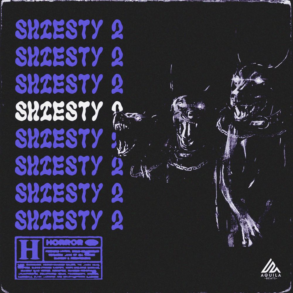 Pochette de Shiesty 2