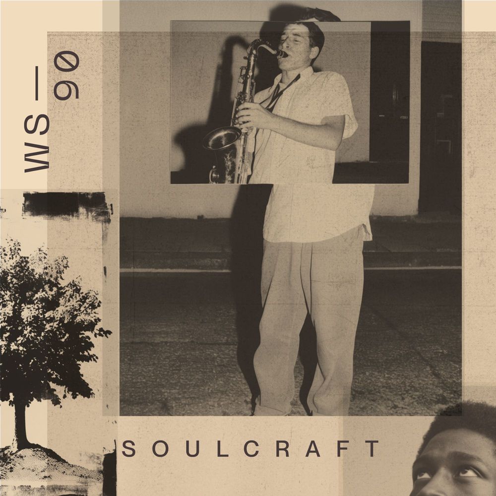 Artwork of Soulcraft