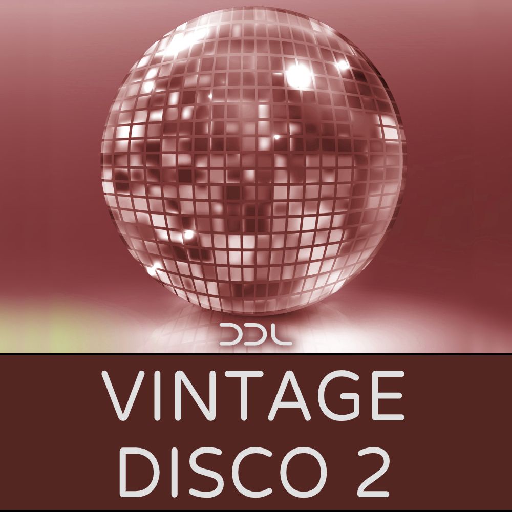Pochette de Vintage Disco 2
