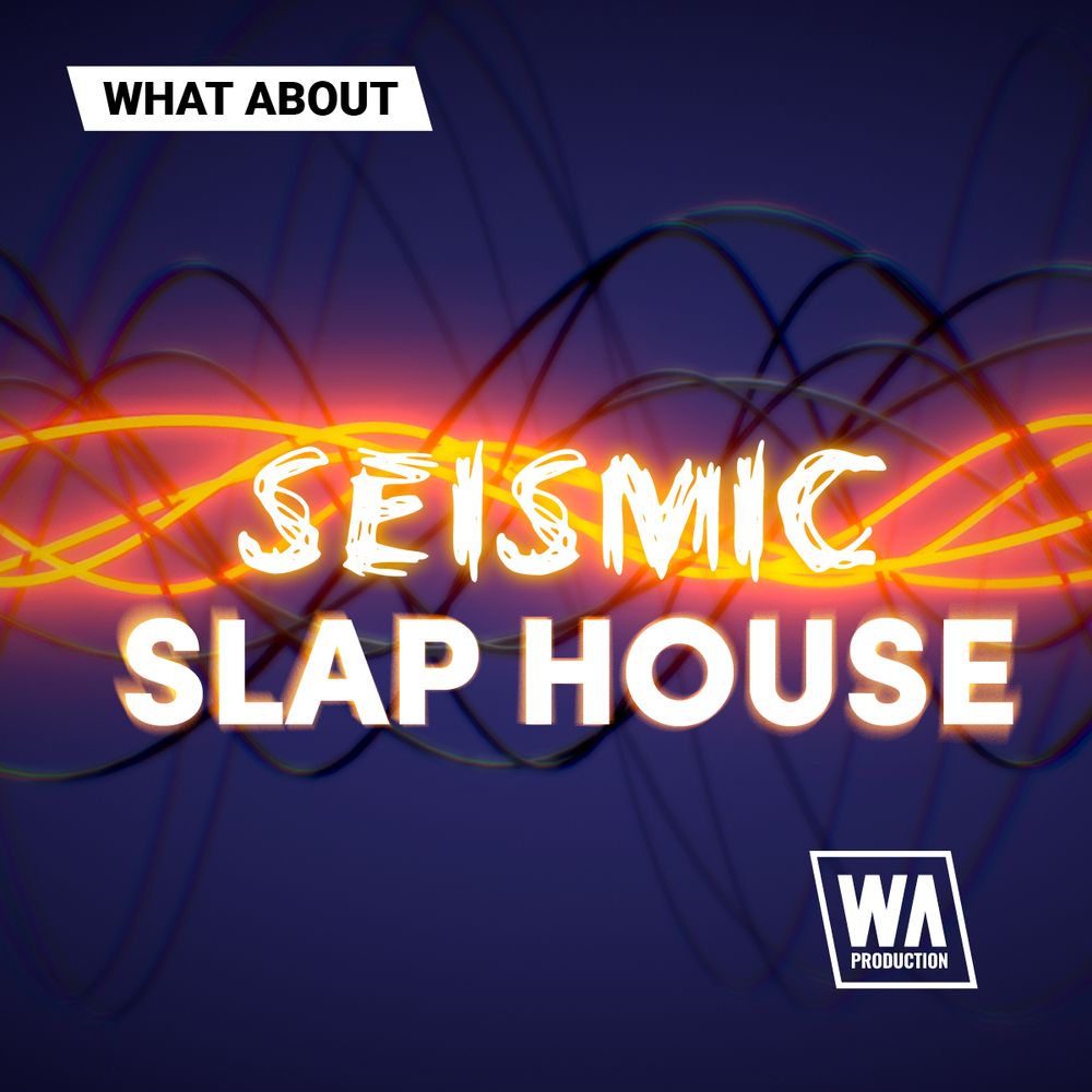 Arte de What About Seismic Slap House