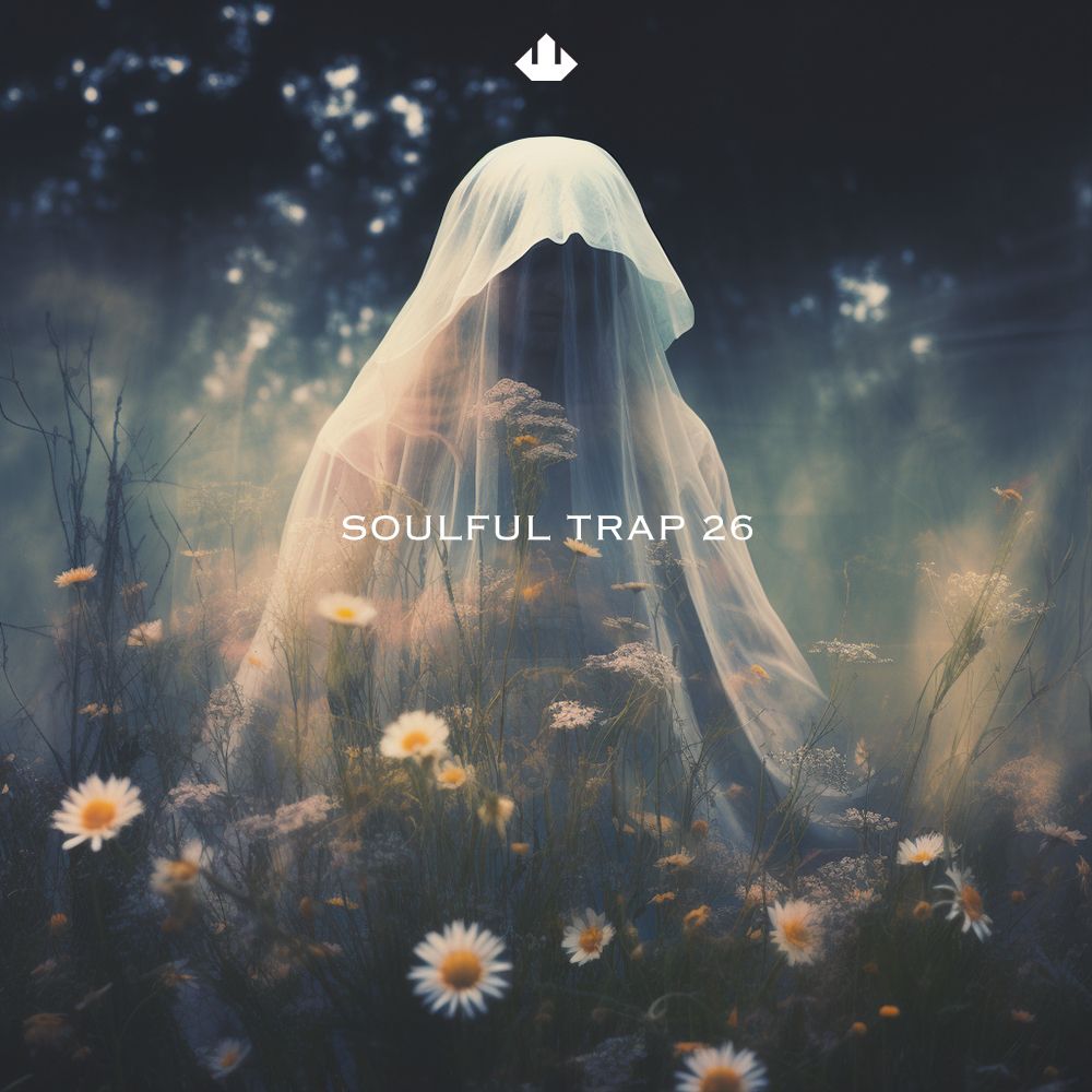 Pochette de SOULFUL TRAP 26