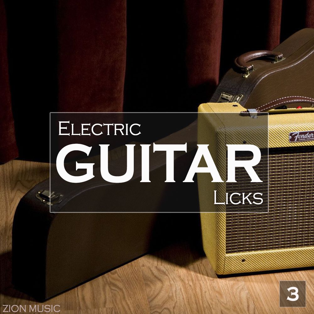 Pochette de Electric Guitar Licks Vol 3