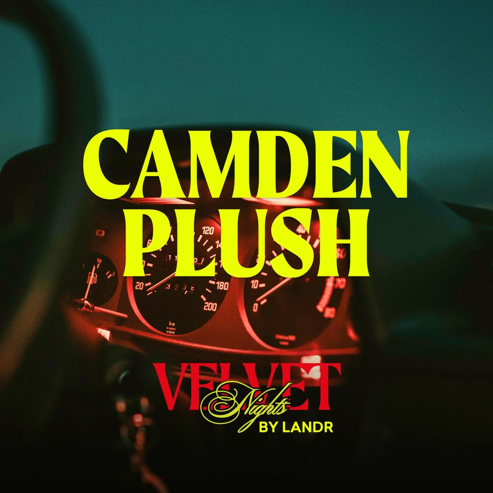 Arte de Camden Plush