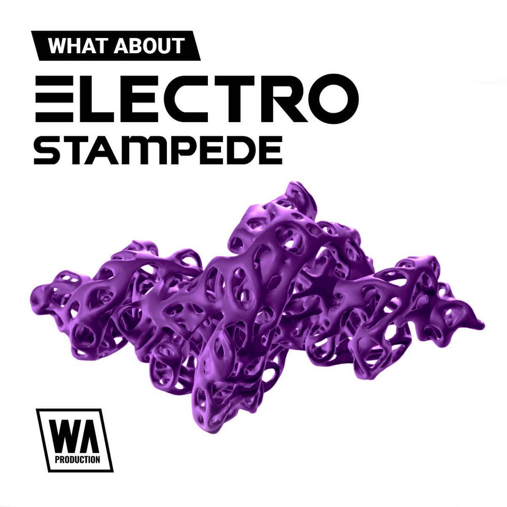 Arte de What About: Electro Stampede