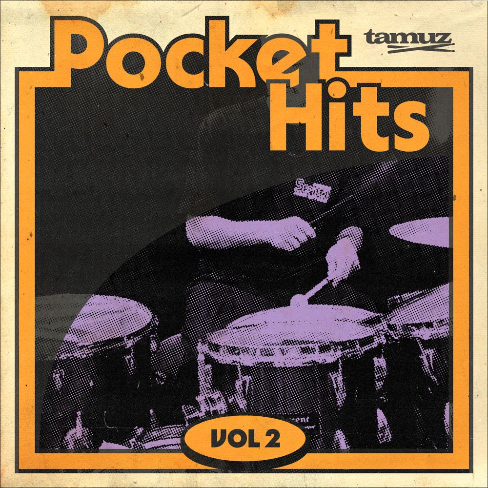 Pochette de Pocket Hits Vol.2