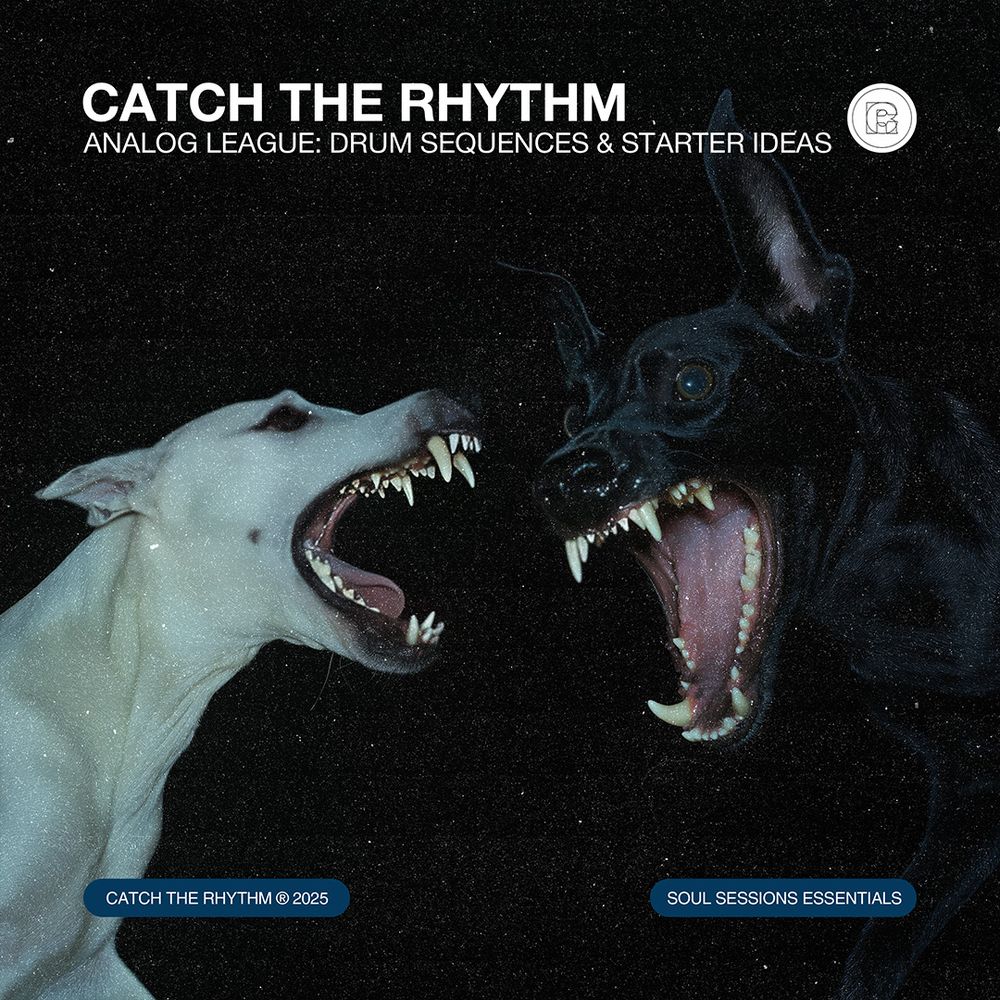 Arte de ANALOG LEAGUE: Drum Sequences & Starter Ideas