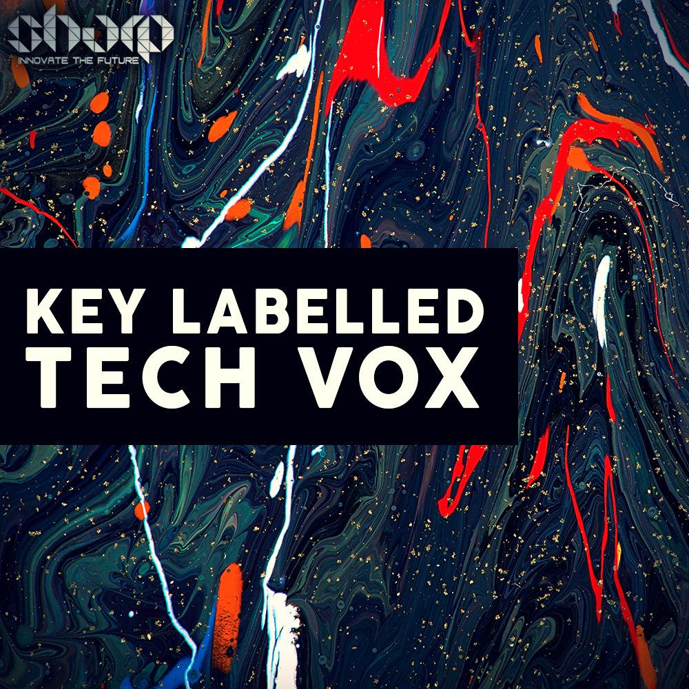 Artwork of Key Labelled Tech Vox