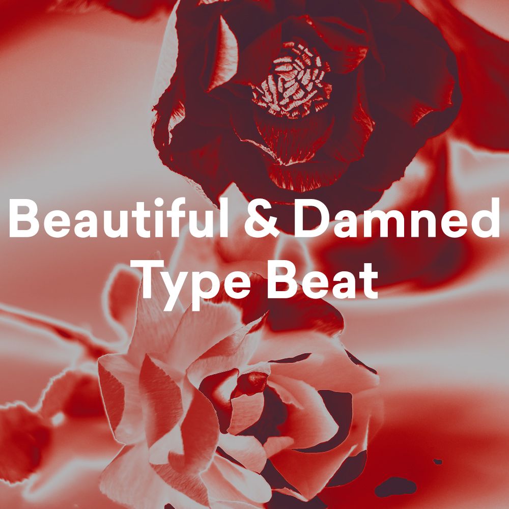 Pochette de Beautiful & Damned Type Beat