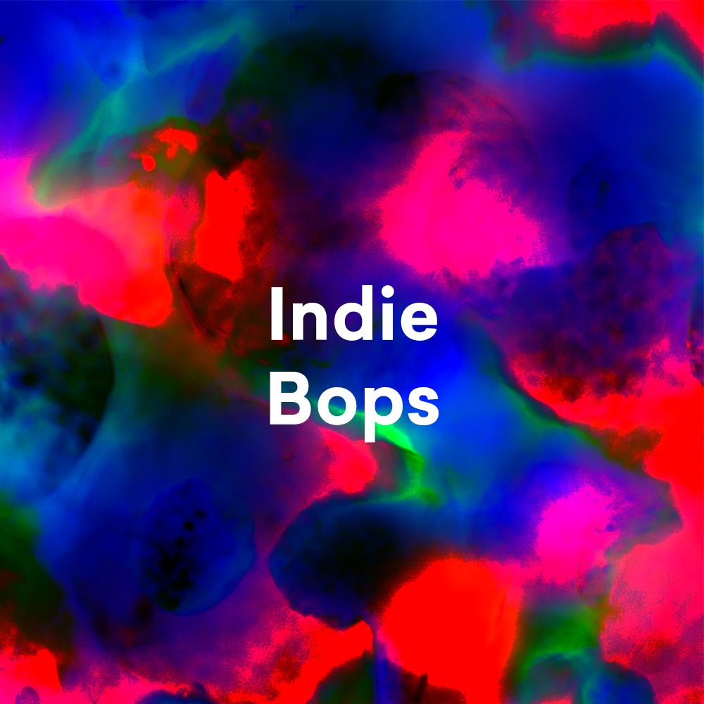 Portada de Indie Bops