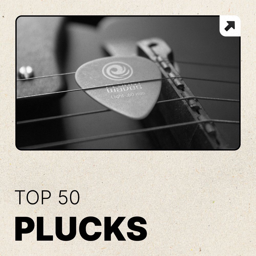 Pochette de Plucks Top 50