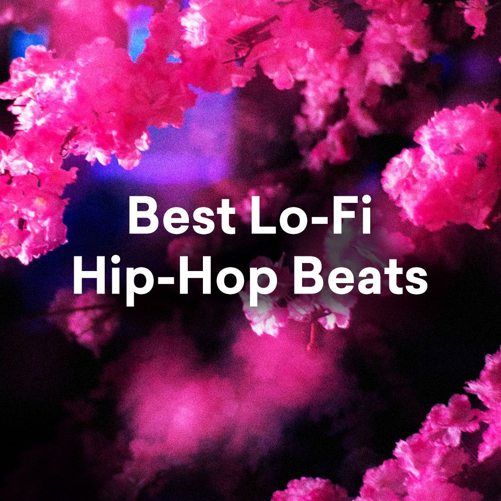 Best Lo-Fi Hip-Hop Beats | LANDR
