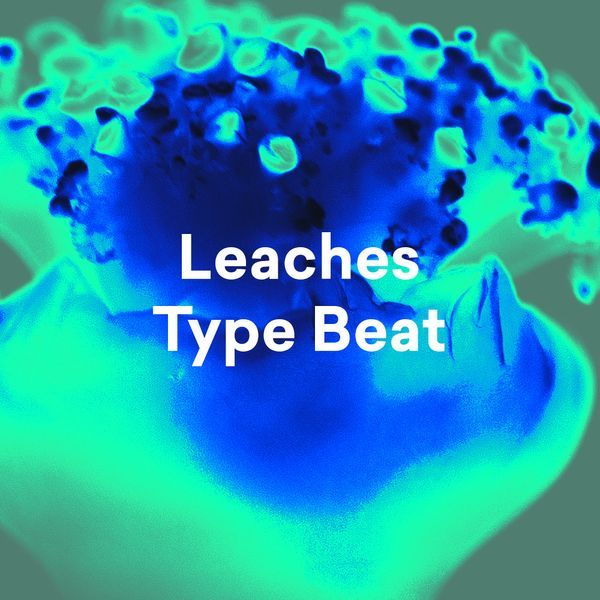 Arte de Leaches Type Beat