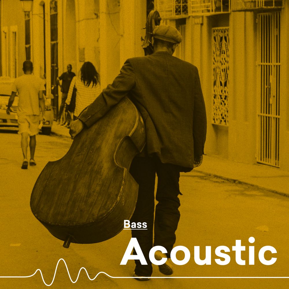 FREE ACOUSTIC SAMPLES SOUNDS AND LOOPS visual data 8