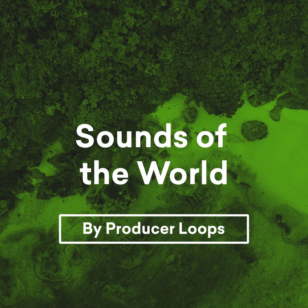 Pochette de Sounds of the World by Producer Loops
