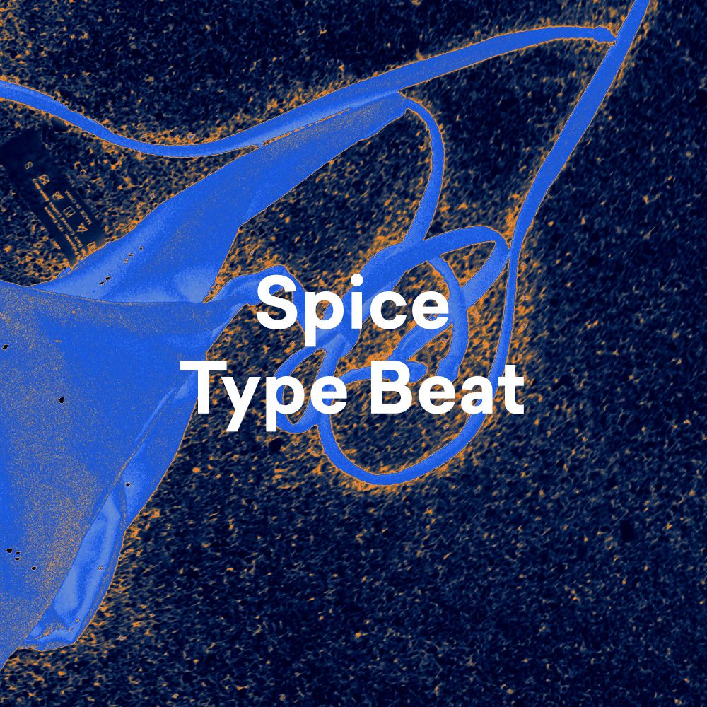 Spice Type Beat - Paquete de Samples | LANDR Samples