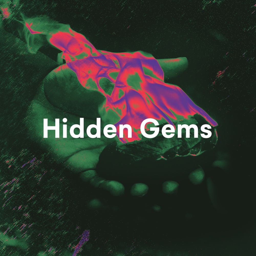 Pochette de Hidden Gems