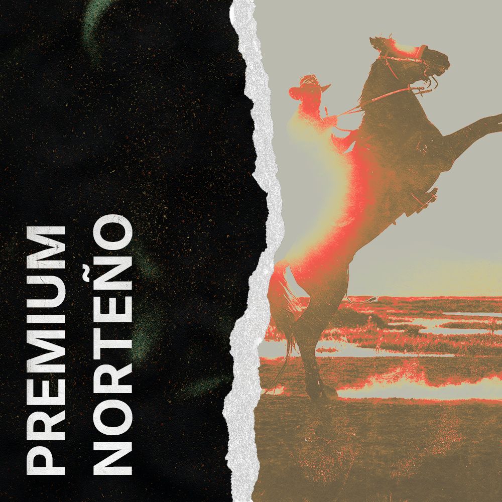 Artwork of Premium Norteño