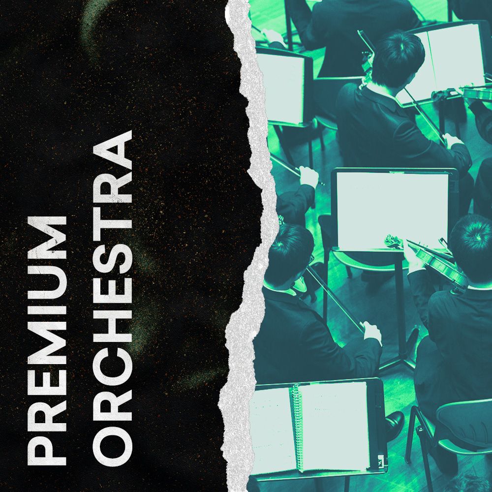 Premium Orchestra Samples - Sample Pack | LANDR Samples