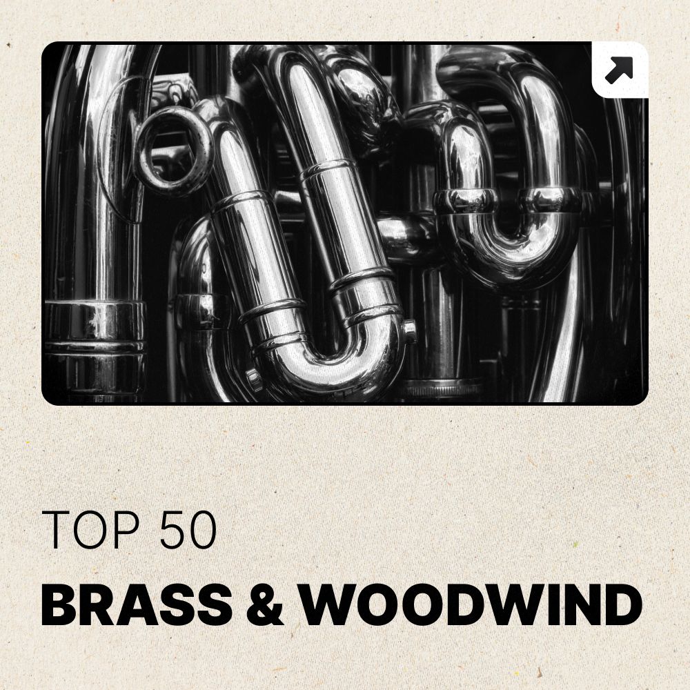 Pochette de Brass & Woodwind Top 50