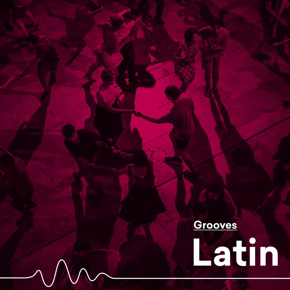 Royalty Free Latin Grooves Samples Landr Samples