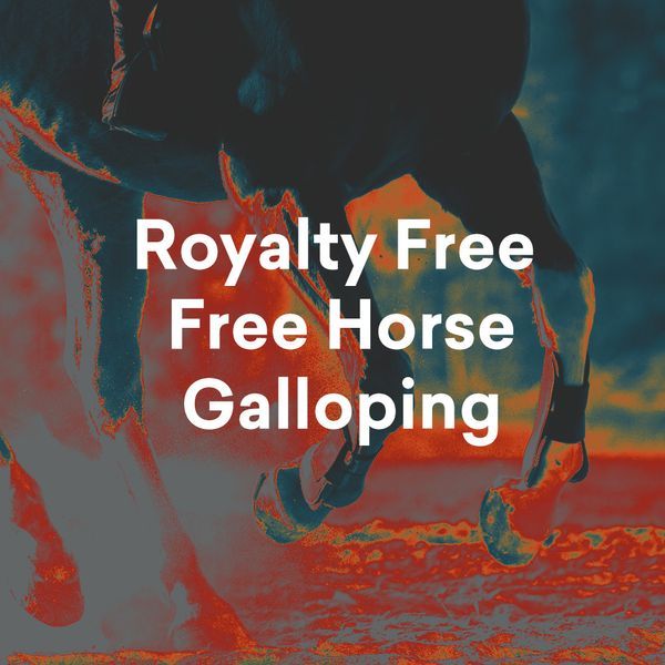 Pochette de Royalty Free Horse Galloping