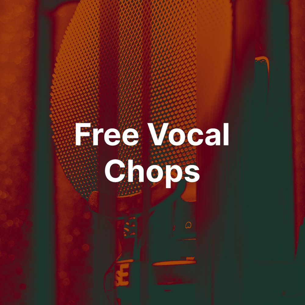 Pochette de Free Vocal Chops